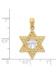 14k Yellow Gold And Rhodium Chai Star of David Pen | Jewelry | Judaica