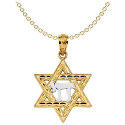 14k Yellow Gold And Rhodium Chai Star of David Pen | Jewelry | Judaica
