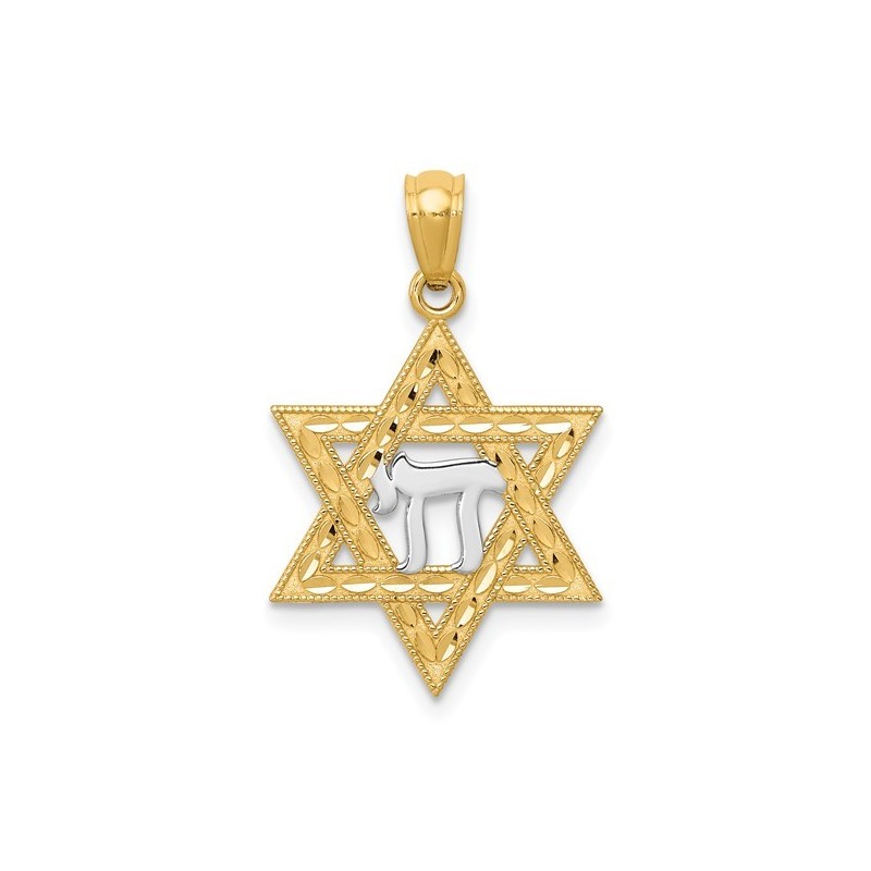 14k Yellow Gold And Rhodium Chai Star of David Pen | Jewelry | Judaica