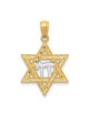 14k Yellow Gold And Rhodium Chai Star of David Pen | Jewelry | Judaica