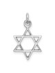 Sterling Silver Rhodium-Plated Star of David Penda | Jewelry | Judaica