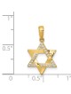 14k Yellow Gold CZ Woven Star of David Pendant | Jewelry | Judaica