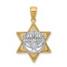 14k Two-Tone Gold Menorah Star of David Pendant | Jewelry | Judaica