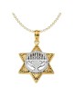 14k Two-Tone Gold Menorah Star of David Pendant | Jewelry | Judaica