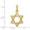 14k Yellow Gold Wood-Grain Textured Star of David  | Jewelry | Judaica