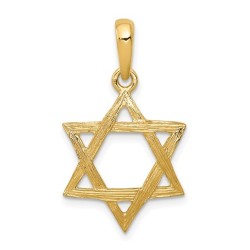 14k Yellow Gold Wood-Grain Textured Star of David  | Jewelry | Judaica