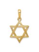 14k Yellow Gold Wood-Grain Textured Star of David  | Jewelry | Judaica