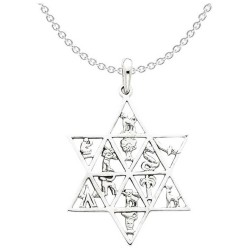 14k White Gold 12 Tribes Star of David Pendant | Jewelry | Judaica
