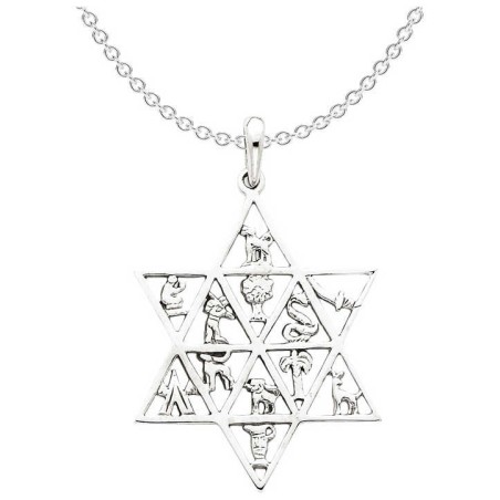 14k White Gold 12 Tribes Star of David Pendant | Jewelry | Judaica