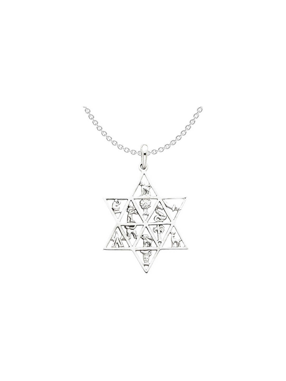 14k White Gold 12 Tribes Star of David Pendant | Jewelry | Judaica