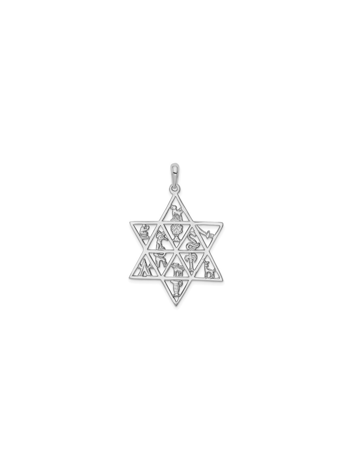 14k White Gold 12 Tribes Star of David Pendant | Jewelry | Judaica