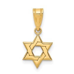 14k Yellow Gold Interlocking Star of David Pendant | Jewelry | Judaica