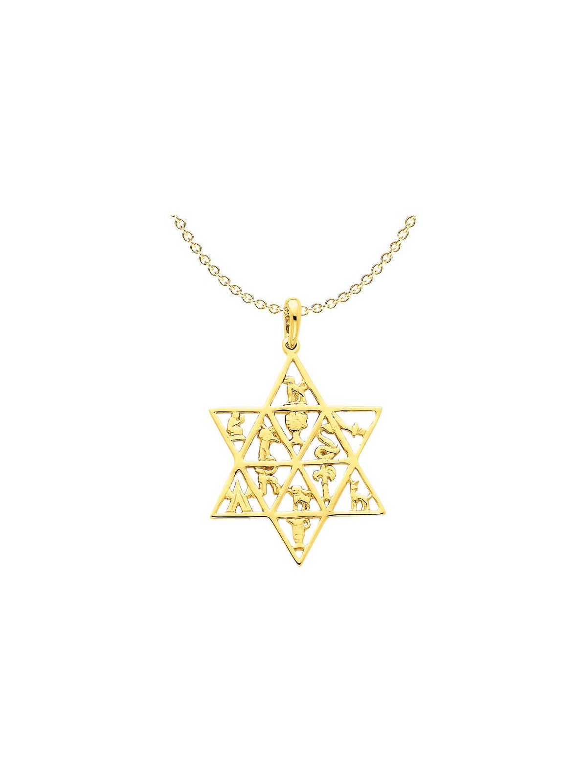 14K Yellow Gold Star Of David 12 Tribes Pendant | Jewelry | Judaica