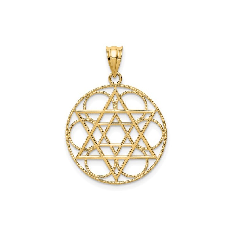14k Yellow Gold Star of David Circle Pendant | Jewelry | Judaica