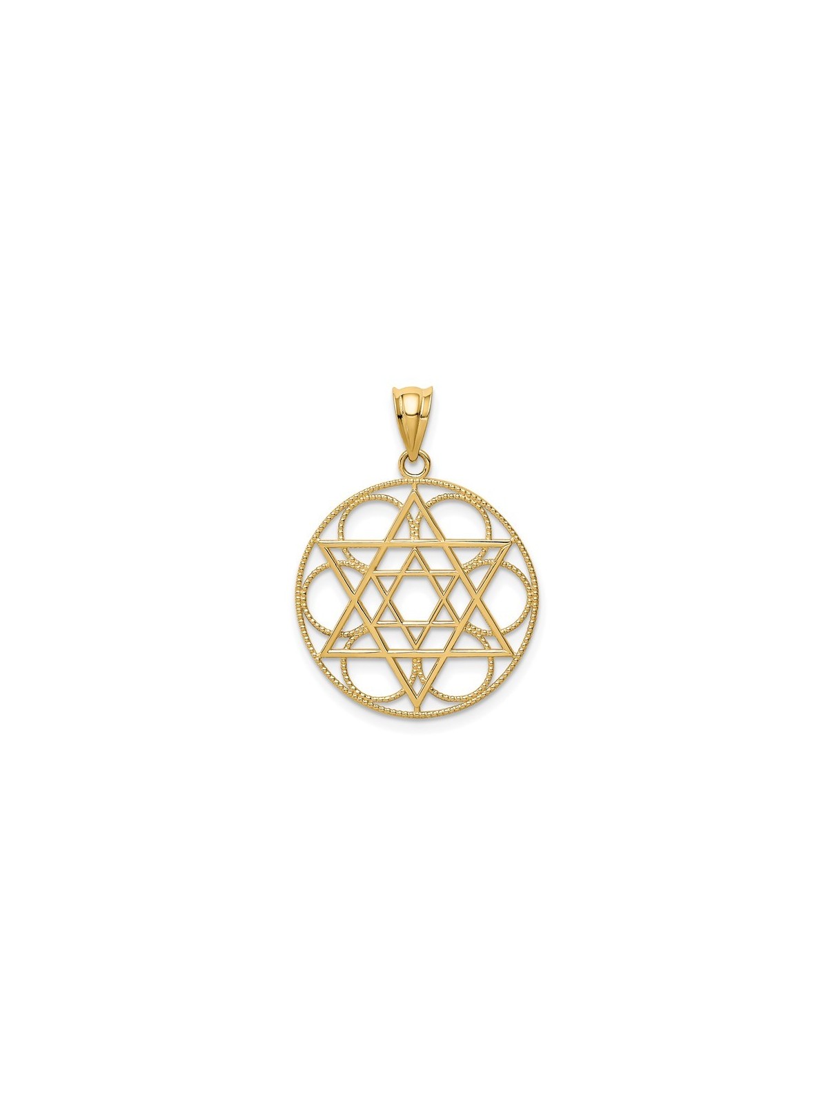 14k Yellow Gold Star of David Circle Pendant | Jewelry | Judaica