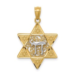 Two-Tone Gold Polished Star of David with Chai Pen | Jewelry | Judaica