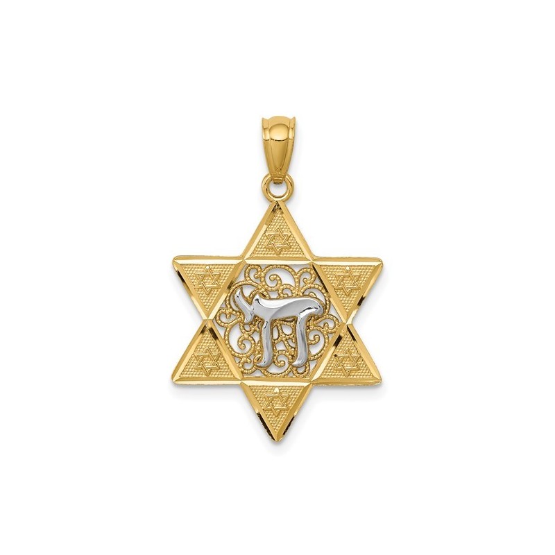 Two-Tone Gold Polished Star of David with Chai Pen | Jewelry | Judaica