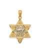 Two-Tone Gold Polished Star of David with Chai Pen | Jewelry | Judaica
