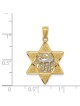 Two-Tone Gold Polished Star of David with Chai Pen | Jewelry | Judaica