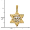 Two-Tone Gold Polished Star of David with Chai Pen | Jewelry | Judaica