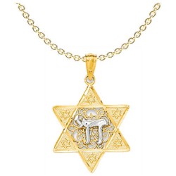 Two-Tone Gold Polished Star of David with Chai Pen | Jewelry | Judaica