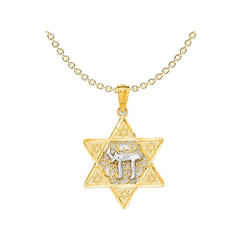 Two-Tone Gold Polished Star of David with Chai Pen | Jewelry | Judaica
