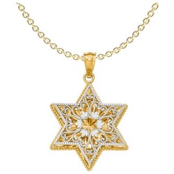 14k Two-Tone Gold Reversible Filigree Star of Davi | Jewelry | Judaica