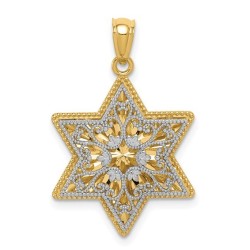 14k Two-Tone Gold Reversible Filigree Star of Davi | Jewelry | Judaica