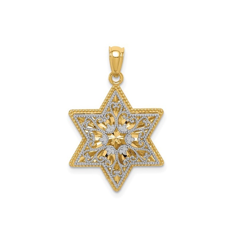 14k Two-Tone Gold Reversible Filigree Star of Davi | Jewelry | Judaica