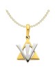 14K Two-Tone Gold Star of David Shin Pendant | Jewelry | Judaica