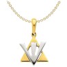 14K Two-Tone Gold Star of David Shin Pendant | Jewelry | Judaica