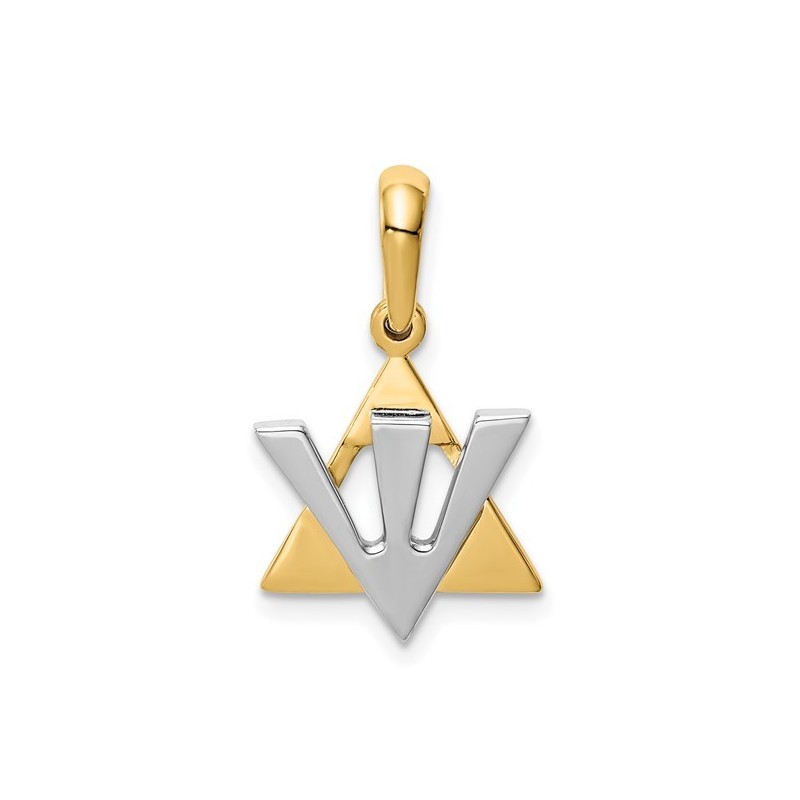 14K Two-Tone Gold Star of David Shin Pendant | Jewelry | Judaica
