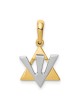 14K Two-Tone Gold Star of David Shin Pendant | Jewelry | Judaica