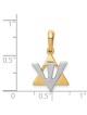 14K Two-Tone Gold Star of David Shin Pendant | Jewelry | Judaica