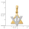 14K Two-Tone Gold Star of David Shin Pendant | Jewelry | Judaica