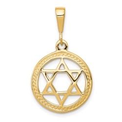 10k Polished Yellow Gold Star of David Circle Pend | Jewelry | Judaica