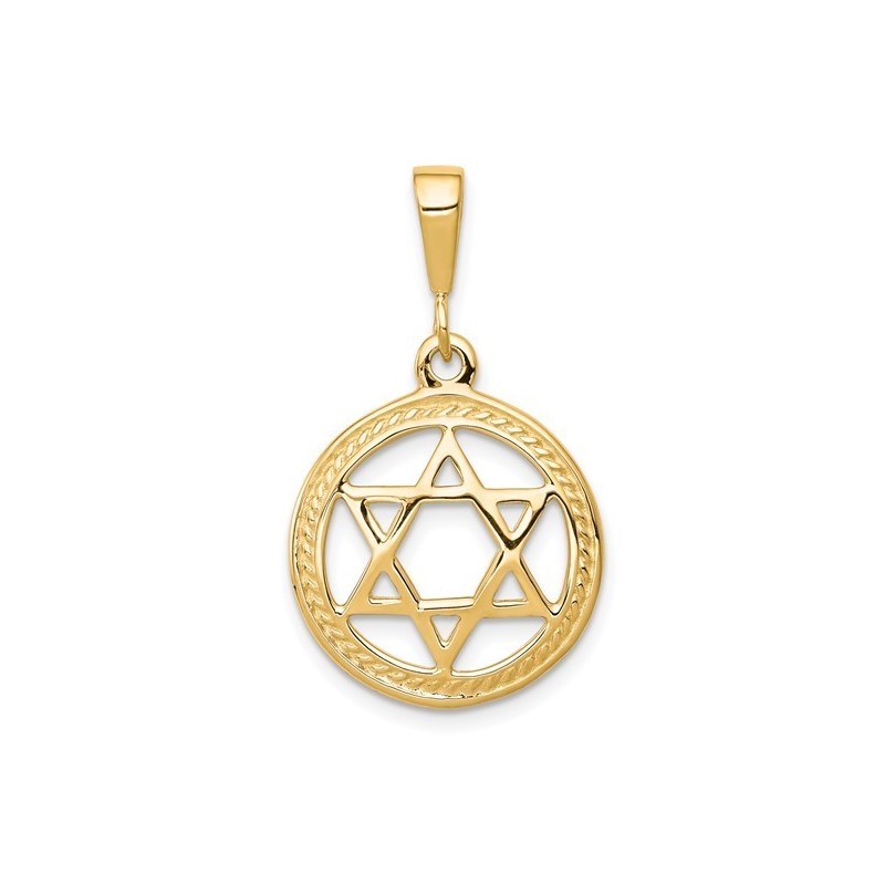 10k Polished Yellow Gold Star of David Circle Pend | Jewelry | Judaica