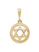 10k Polished Yellow Gold Star of David Circle Pend | Jewelry | Judaica