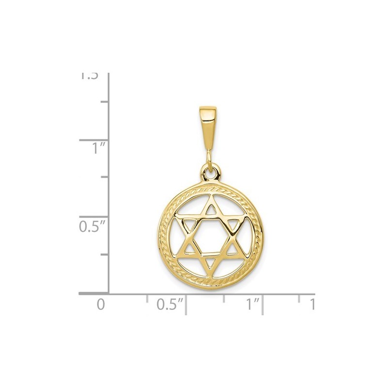 10k Polished Yellow Gold Star of David Circle Pend | Jewelry | Judaica