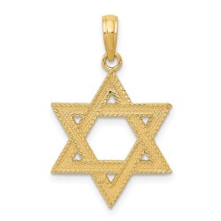 14k Yellow Gold Rope Textured Star of David Pendan | Jewelry | Judaica