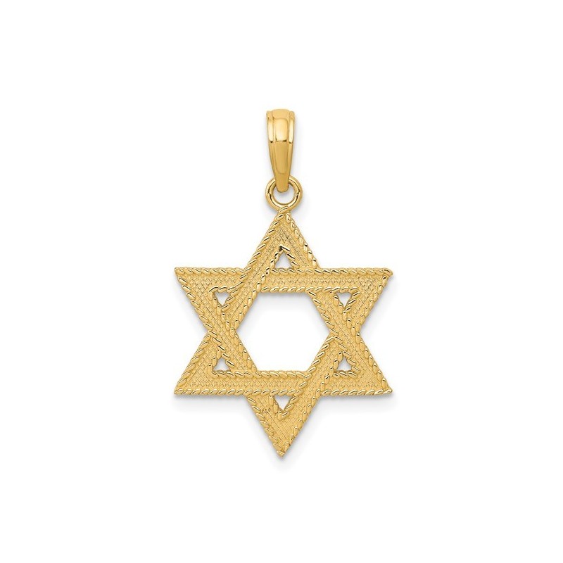 14k Yellow Gold Rope Textured Star of David Pendan | Jewelry | Judaica