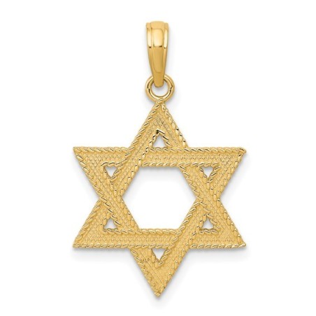14k Yellow Gold Rope Textured Star of David Pendan | Jewelry | Judaica