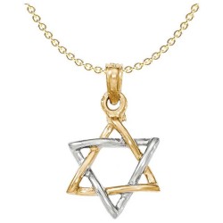 14k Two-Tone Yellow and White Gold Polished Star o | Jewelry | Judaica