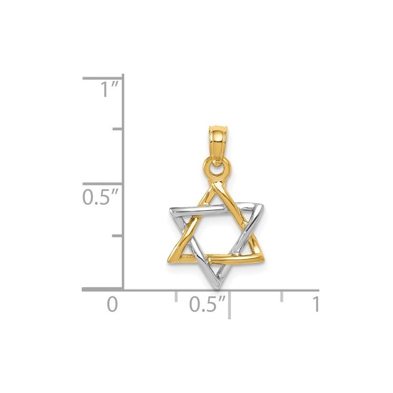 14k Two-Tone Yellow and White Gold Polished Star o | Jewelry | Judaica