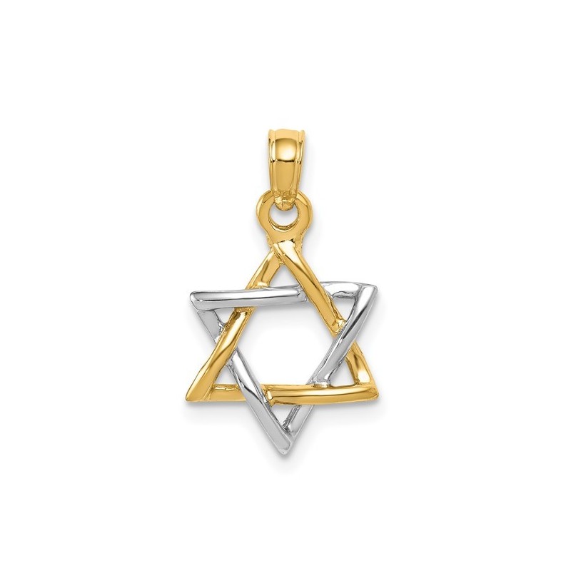 14k Two-Tone Yellow and White Gold Polished Star o | Jewelry | Judaica
