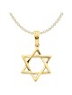Large 14K Yellow Gold Polished Star of David Penda | Jewelry | Judaica