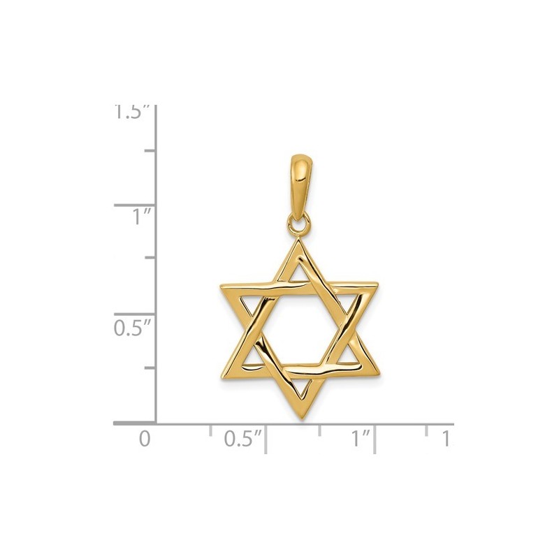 Large 14K Yellow Gold Polished Star of David Penda | Jewelry | Judaica