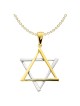 14k Two-Tone Gold Dramatic Star of David Pendant | Jewelry | Judaica