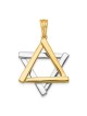 Deluxe 14k Two-Tone Gold Star of David Pendant | Jewelry | Judaica