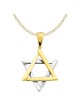 Deluxe 14k Two-Tone Gold Star of David Pendant | Jewelry | Judaica